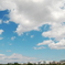CCDの空