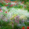 Bouquet garden