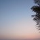 初春の夕暮れ