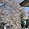 2011-04-04 008
