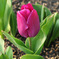 DSC_2891_edited-1