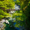かずら橋