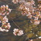 P4010785G