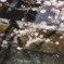 P4010756