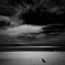 651D7103-3D5C-4BFF-9479-E3A7737C3DF9