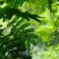 初夏の陽気