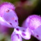 CIMG0034