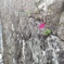 首里城金城町石畳道にて