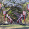 桜と神社