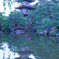 輪王寺