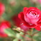 D2198D69-5176-4503-A0DD-1F34542BF266