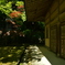 永源寺の彩りと陰