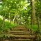 Wooden Stairway