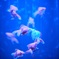 Art aquarium