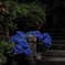 お地蔵さま