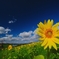 2010-09-22-12-22