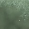 Rain*