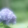 「悲しみの果て」