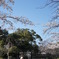 DSC01237