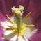 DSCN0241