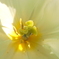 DSCN0242
