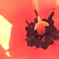 DSCN0244