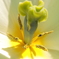 DSCN0245