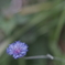 DSC01078