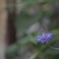 DSC01079