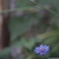 DSC01080