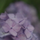 DSC01081
