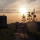 夕刻の風景