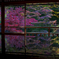 瑠璃光院２