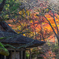 三千院２