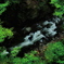 渓流