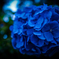 20266DF7-A67A-4DA5-9E5C-CB6E4AB8D9B6