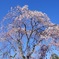 DSC02769
