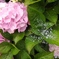 IMG_20220616_133111