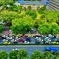 colorfulcar