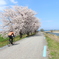 富山湾岸サイクリングコース４