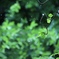 6A045F65-9FFF-48C6-9894-C2B979609B59