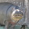 何か？