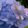 81F5E5B5-761C-440B-8BB3-45D0EF998AB8