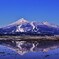 春だけの風景