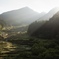 朝の棚田