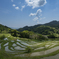 夏が近くまで