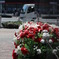 110326造花