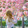 アーニャ、桜好き