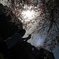 桜と夕日の中の黄昏