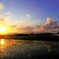 田植え後の夕日